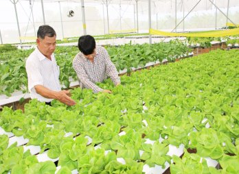 Long An: Chỉ khoảng 0,7% mẫu nông lâm thủy sản không đạt chỉ tiêu an toàn thực phẩm