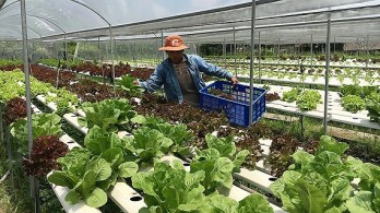 Vietnamese farm produce exported to 200 nations