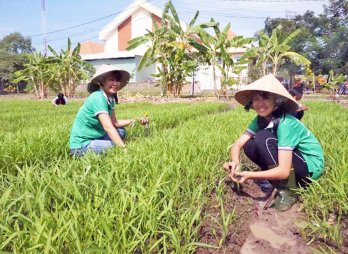 Rèn luyện kỹ năng sống với vườn rau trong trường học