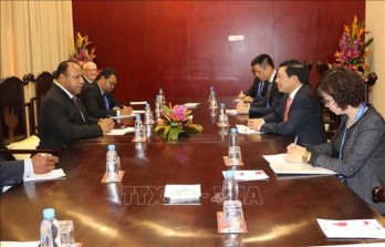 Deputy PM Pham Binh Minh meets with Papua New Guinea Foreign Minister