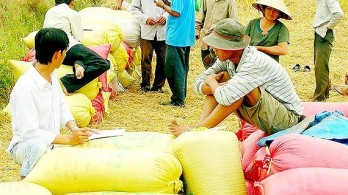 Rice export likely to reach $3 billion this year