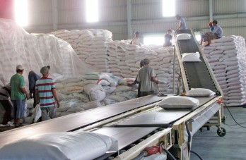 Long An exports nearly 463,000 tons of rice