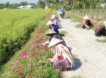 Hội Liên hiệp Phụ nữ Việt Nam xã Bình Trinh Đông Chung tay bảo vệ môi trường, xây dựng nông thôn mới