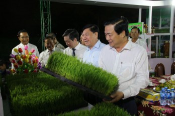 Long An hosts 3rd Rice Festival