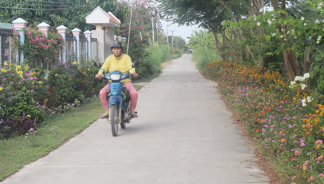 Xã Nhơn Ninh xây dựng hơn 20km tuyến đường hoa, góp phần xây dựng cảnh quan môi trường xanh, sạch, đẹp