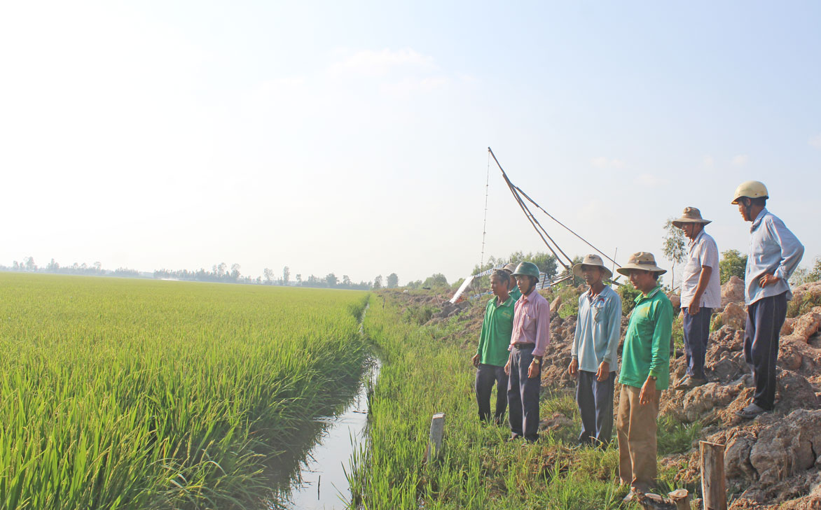 Hơn 750m đê bao lửng với tổng kinh phí trên 250 triệu đồng do người dân tự nguyện đóng góp