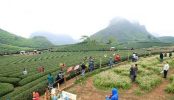 Planning scheme for Moc Chau national tourist site approved