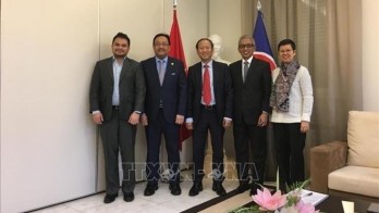 Vietnam undertakes Chair of ASEAN Committee in Madrid