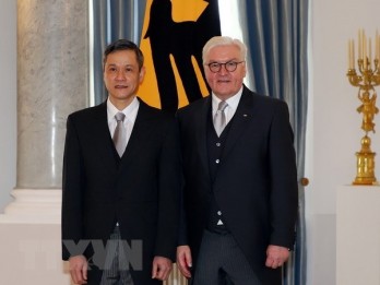 Vietnam wishes to enhance ties with Germany: Ambassador