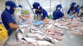 Aquatic sector aims at US$10 billion export revenue in 2019