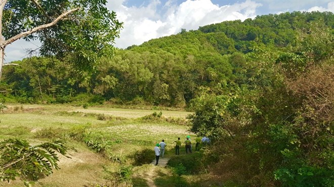 The risk of fire has been raised to the fourth level in the area near Dai Mountain in An Giang province’s Tinh Bien district.(Photo: VNA)