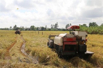 State Bank instructs provision of loans for rice procurement