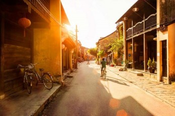 Cherry blossom viewing festival opens in Hoi An city