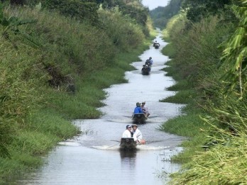 Eco-tourism site to be developed in U Minh Ha National Park