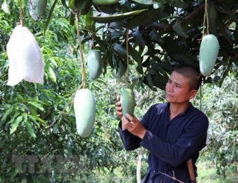 VN asked to enhance quality of farm produce to enter choosy markets