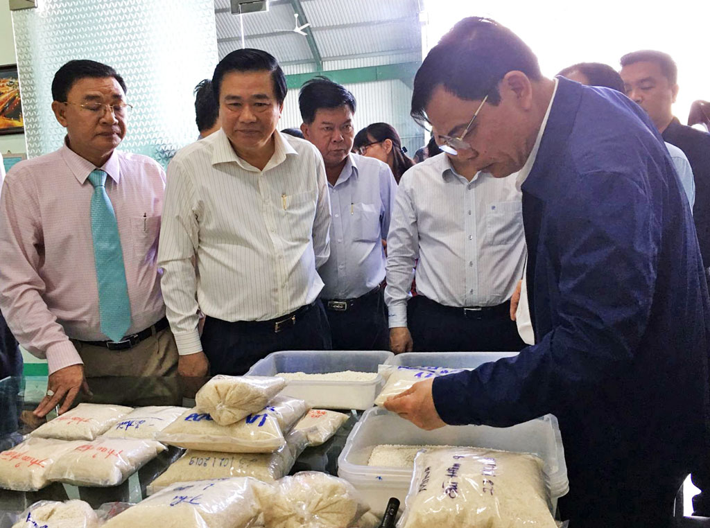 Mr. Nguyen Xuan Cuong (right) and the leaders of Long An province saw the display of rice samples at Tan Dong Tien Joint Stock Company