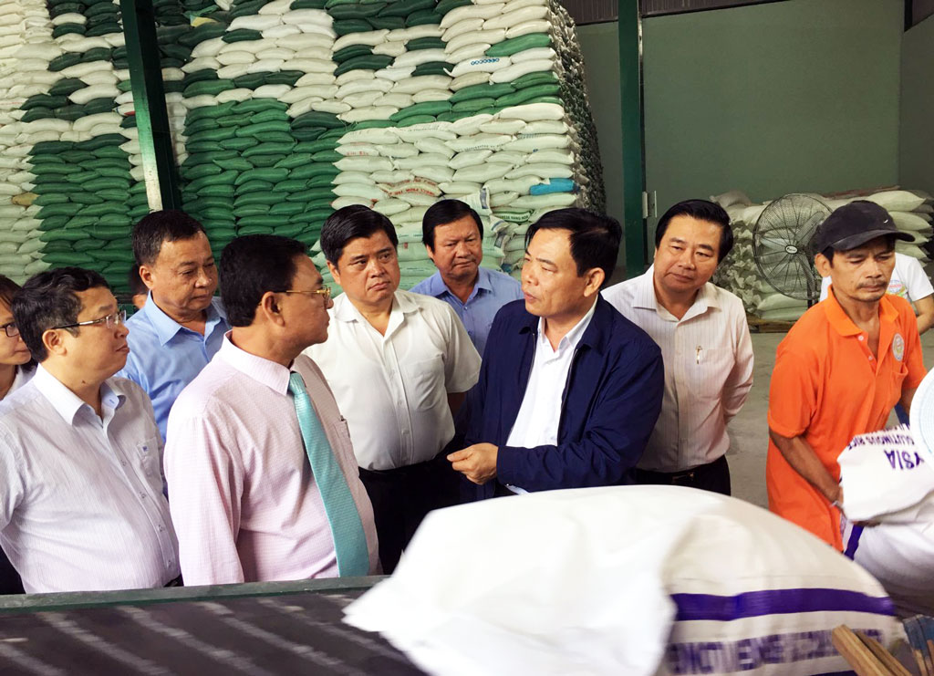 Mr. Nguyen Xuan Cuong (3rd, right) highly appreciated the active link between farmers and enterprises in rice consumption over the past time.