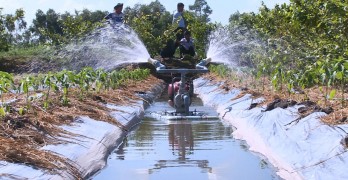 Sáng tạo từ thực tiễn