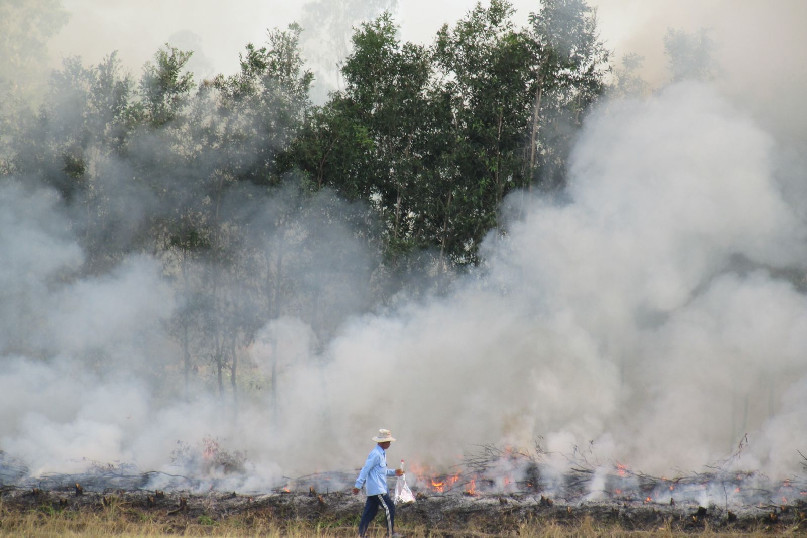 Burning rice fields, causing the high risk of forest fire especially in the dry season