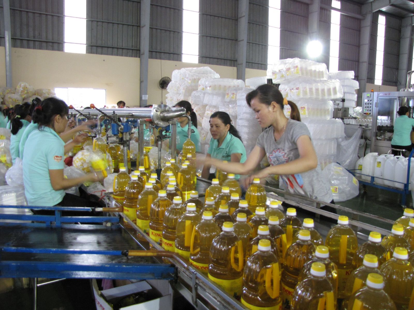 Production activities at Long Dinh and Long Cang ICs in Can Duoc district