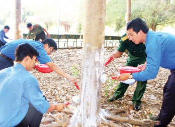 Tuổi trẻ chung sức xây dựng quê hương