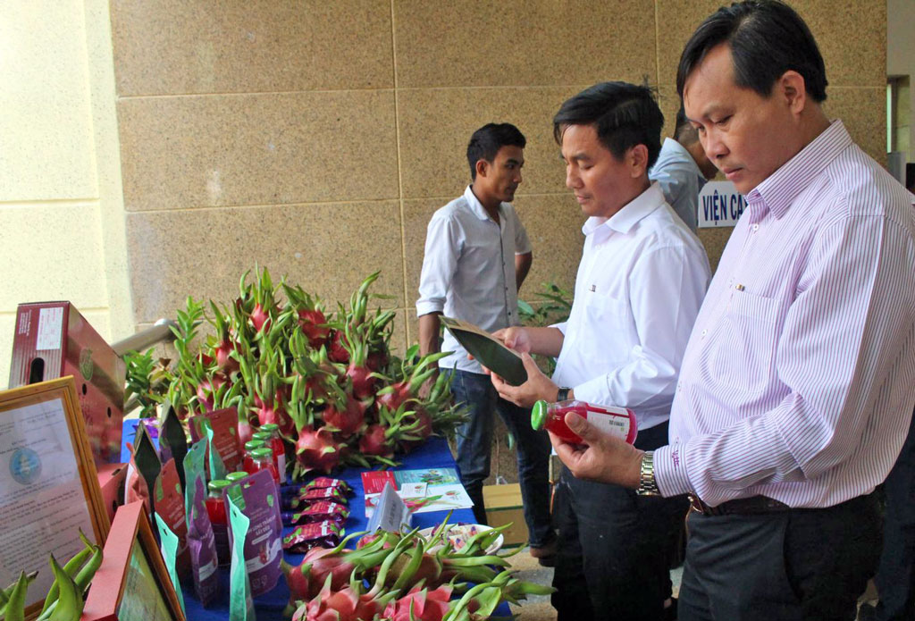 Dragon fruit is one of the major fruit trees of Long An province