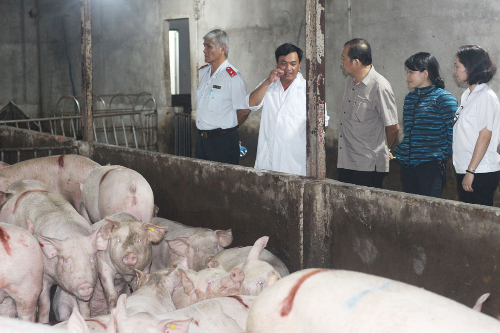 The mission of the Department of Agriculture and Rural Development checked  at slaughterhouse