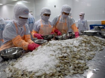 Shrimp businesses advised to increase competitiveness