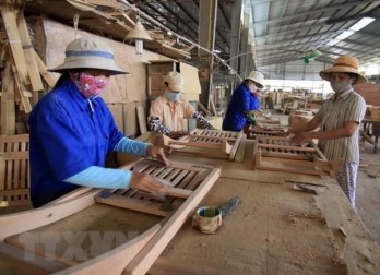 CPTPP countries – potential markets for Vietnamese wood industry