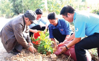 Hội Liên hiệp Thanh niên Việt Nam tỉnh Long An: Xây dựng hội vững mạnh