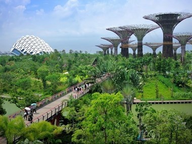 Garden by the Bay in Singapore - Illustrative image (Source: Eco-Business.com)