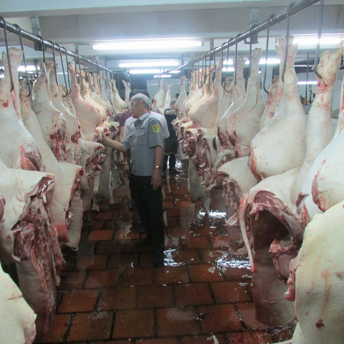 Long An strictly controls the source of pork before selling to the market