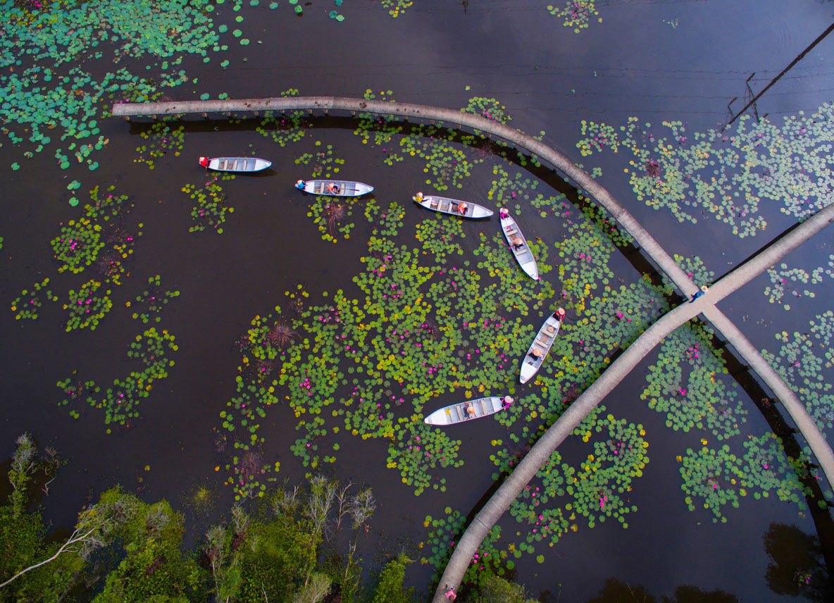 Coming to Tan Lap Floating Village, visitors themselves can enjoy nature