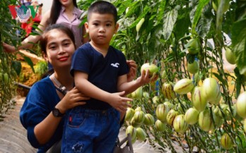 Farm tours prove to be a hit among visitors to Da Lat