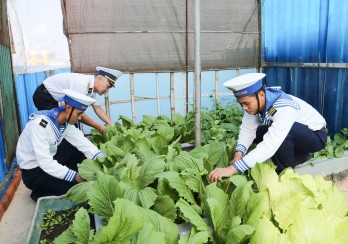 Chuyện tăng gia sản xuất trên đảo Núi Le