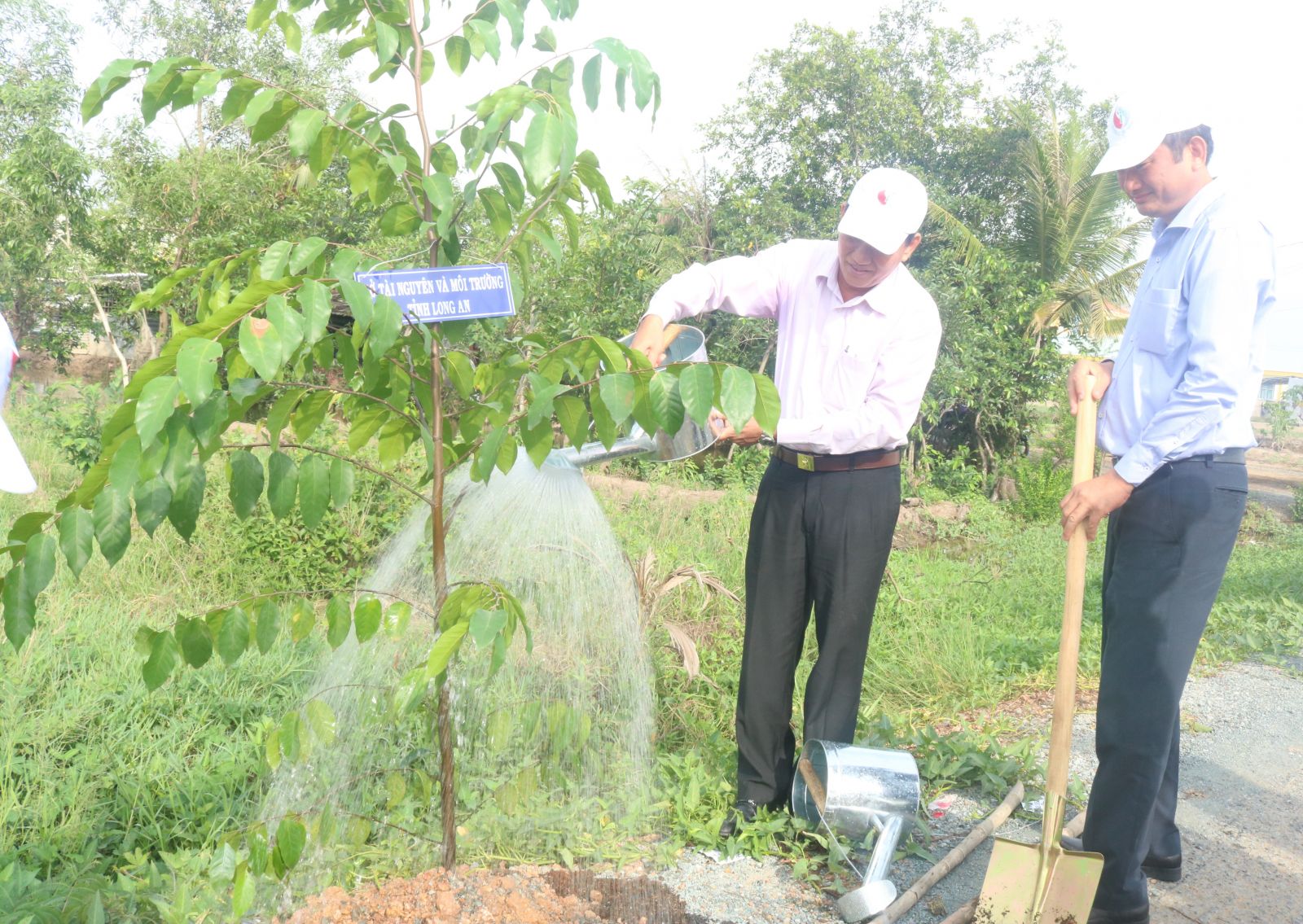 Delegates participate in planting trees to respond to the WED (June 5).