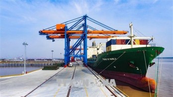 Vietnam looks to build criteria for ecological seaports