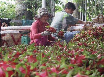 Long An joins in trade promotion in Lao Cai