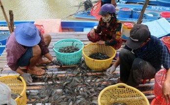 Aquatic product exports decrease in five months