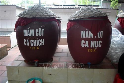 Farmers in Sam Son city, the north-central province of Thanh Hoa, have become rich by developing traditional fish sauce production and business. (Photo: VNA)