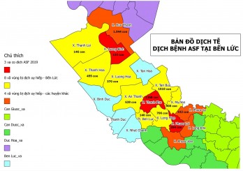 Long An continues to find three Afica swine fever outbreaks in Ben Luc district