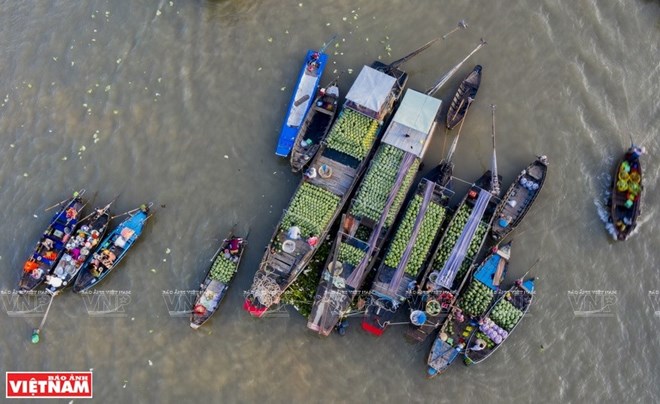 An aerial view of boats selling goods at the Cai Rang floating market (Photo: VNA)