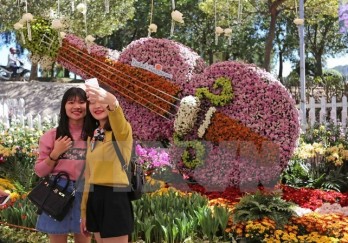 Da Lat flower festival to run in December