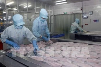 Tra fish firms report sharp rises in second quarter earnings