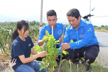 Châu Thành: Sôi nổi các hoạt động Chiến dịch Thanh niên tình nguyện hè năm 2019