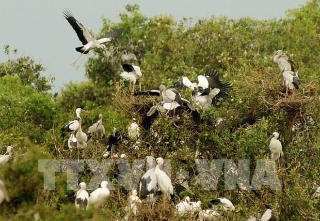 A USD 625,000 project for ecosystem management at Tram Chim National Park in the Mekong Delta province of Dong Thap was launched at a conference held by the Vietnam Forest Inventory and Planning Institute (FIPI) in Ho Chi Minh City on August 5.