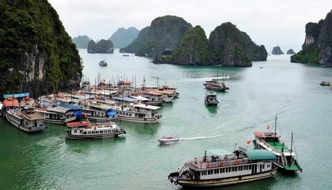 Boats travel in Ha Long Bay (Photo: VNA)