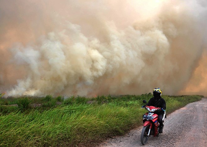 A forest fire in Ogan Ilir regency of South Sumatra province, Indonesia, on August 5 (Photo: Xinhua/VNA)