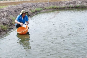 Đoàn kết, sáng tạo, xung kích, tình nguyện vì sự phát triển quê hương