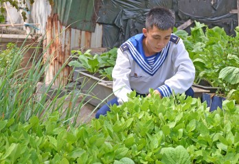 Bài cuối: Màu xanh trên biển Trường Sa